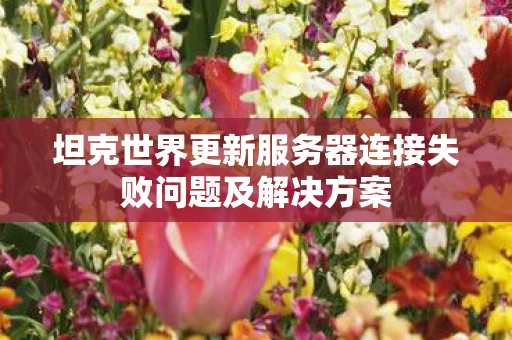 坦克世界更新服务器连接失败问题及解决方案图片