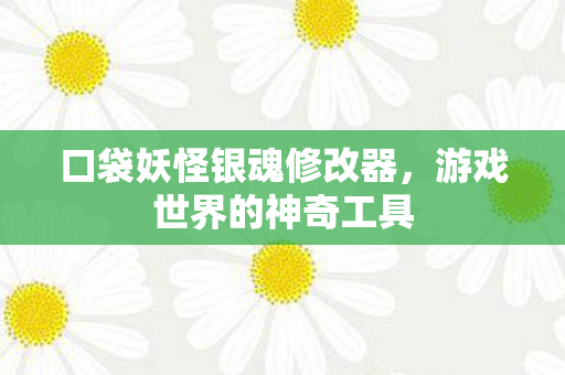 口袋妖怪银魂修改器图片