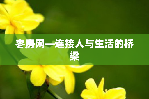 连接人与生活的桥梁图片