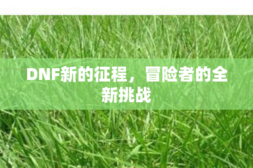 冒险者的全新挑战图片