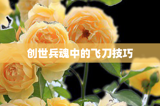 创世兵魂中的飞刀技巧图片