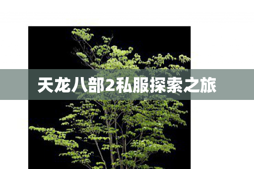 天龙八部2私服探索之旅图片