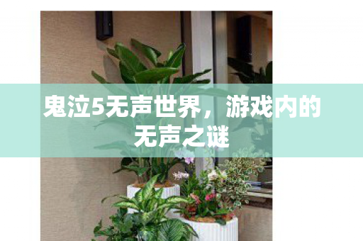 游戏内的无声之谜图片