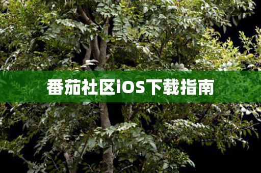 番茄社区iOS下载指南图片