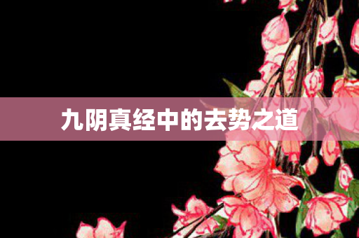 九阴真经中的去势之道图片