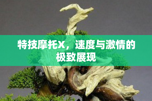 速度与激情的极致展现图片
