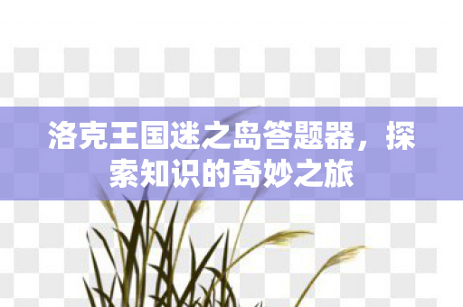 洛克王国迷之岛答题器图片