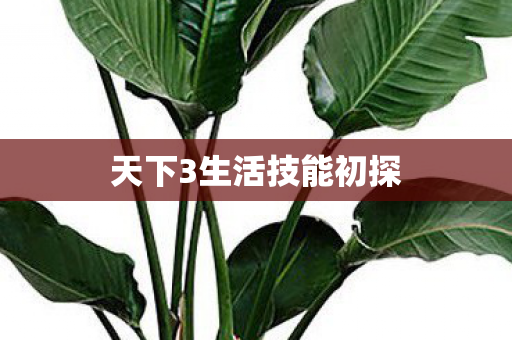 天下3生活技能初探图片