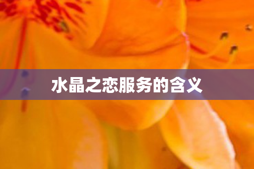 水晶之恋服务的含义图片