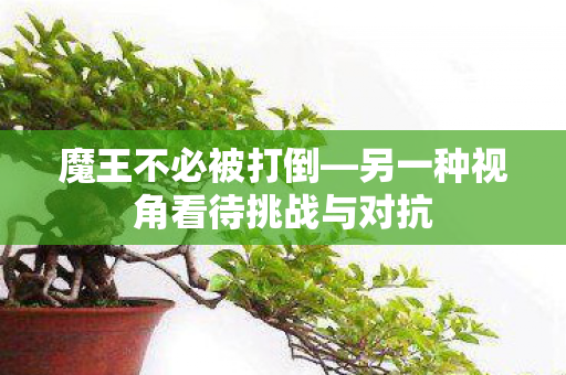 另一种视角看待挑战与对抗图片