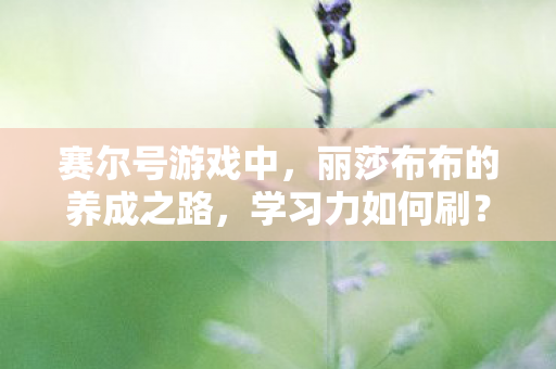 丽莎布布的养成之路图片