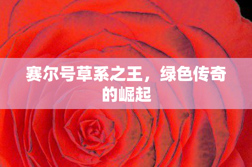 赛尔号草系之王图片