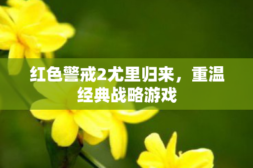 红色警戒2尤里归来图片