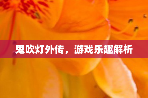 游戏乐趣解析图片
