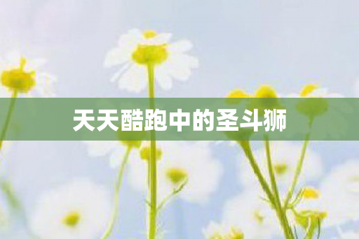 天天酷跑中的圣斗狮图片