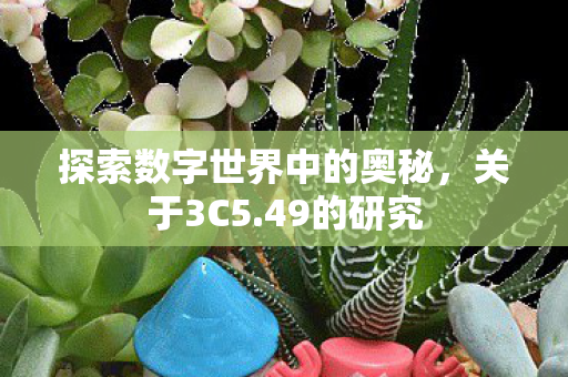 探索数字世界中的奥秘图片