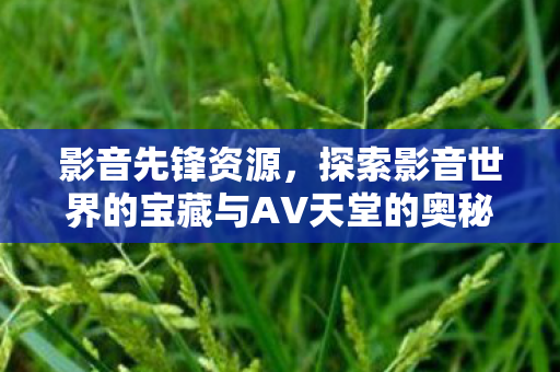 探索影音世界的宝藏与AV天堂的奥秘图片