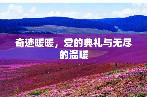 爱的典礼与无尽的温暖图片