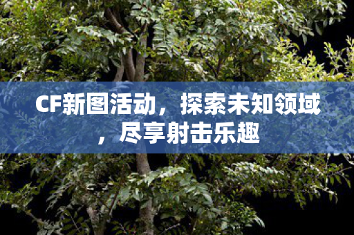CF新图活动图片