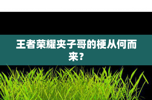 王者荣耀夹子哥的梗从何而来图片