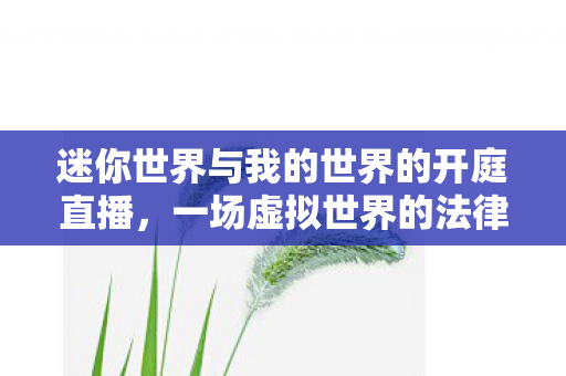迷你世界与我的世界的开庭直播图片