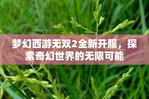 梦幻西游无双2全新开服图片