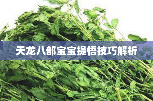 天龙八部宝宝提悟技巧解析图片