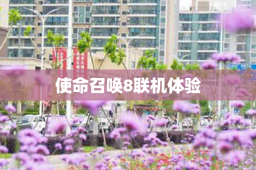 使命召唤8联机体验图片