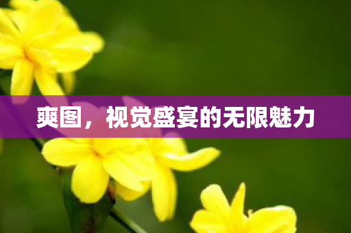 视觉盛宴的无限魅力图片