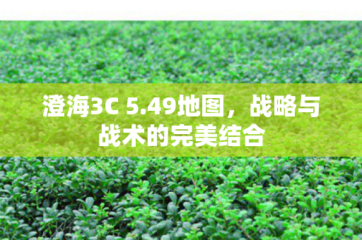 战略与战术的完美结合图片