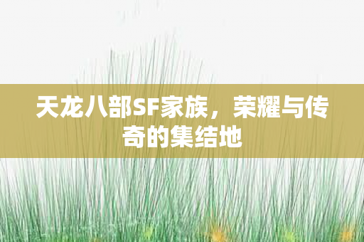荣耀与传奇的集结地图片