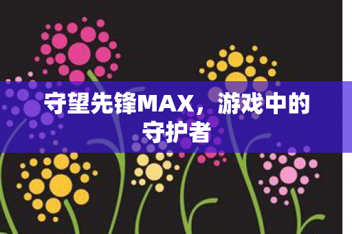 守望先锋MAX图片