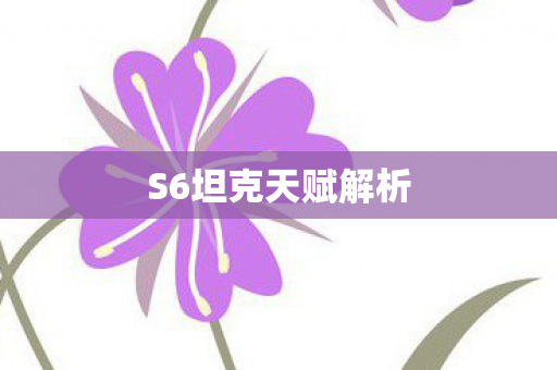 S6坦克天赋解析图片