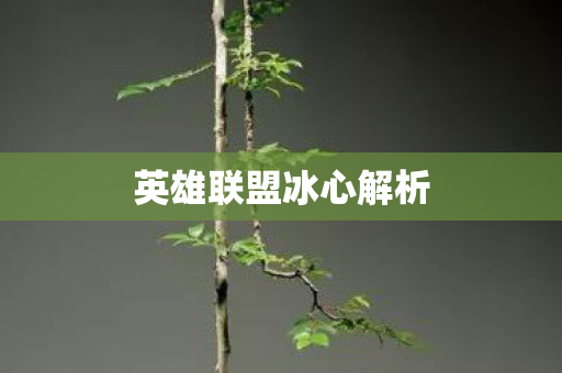英雄联盟冰心解析图片