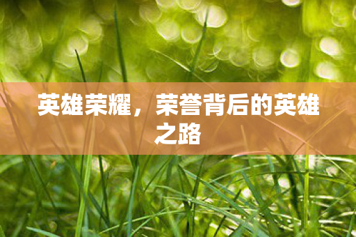荣誉背后的英雄之路图片