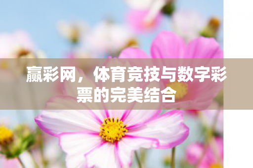 体育竞技与数字彩票的完美结合图片