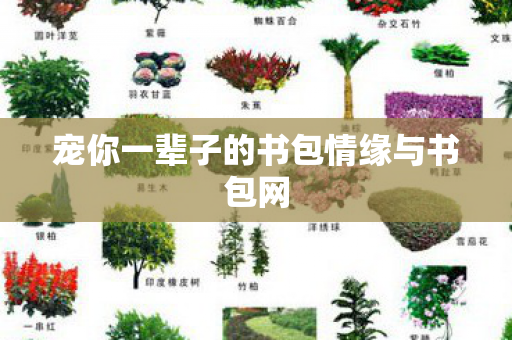 宠你一辈子的书包情缘与书包网图片