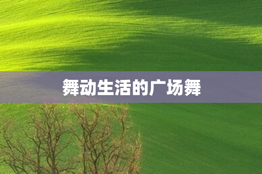 舞动生活的广场舞图片