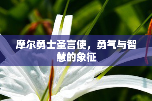 勇气与智慧的象征图片