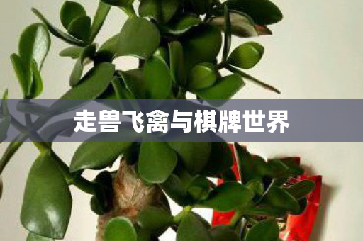 走兽飞禽与棋牌世界图片