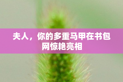 你的多重马甲在书包网惊艳亮相图片