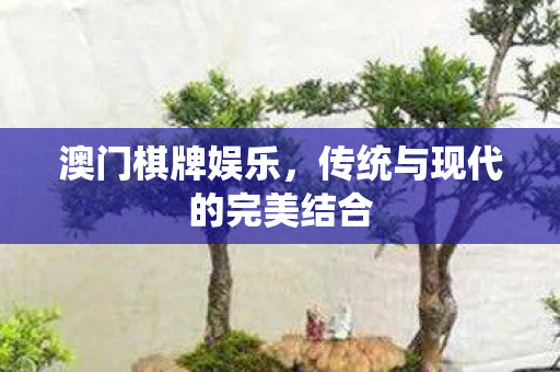 传统与现代的完美结合图片
