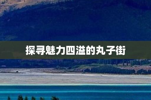 探寻魅力四溢的丸子街图片