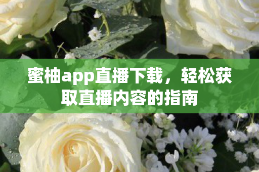 轻松获取直播内容的指南图片