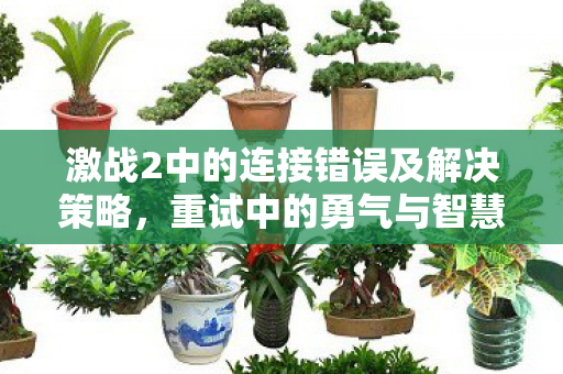 激战2中的连接错误及解决策略图片