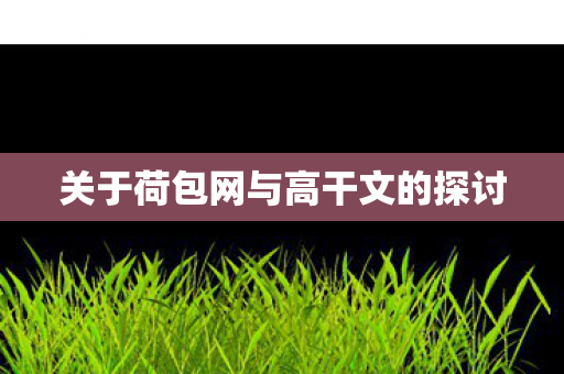 关于荷包网与高干文的探讨图片