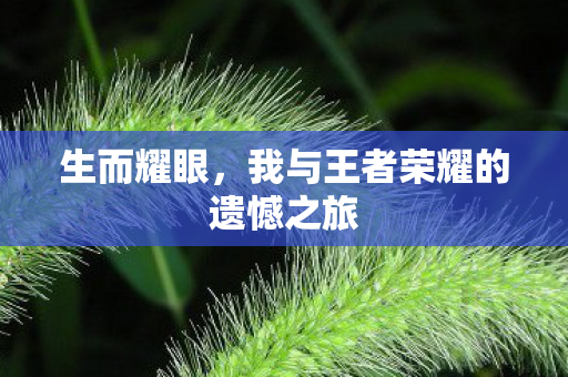 我与王者荣耀的遗憾之旅图片