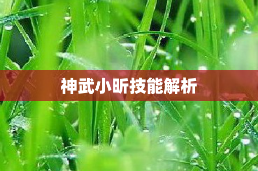 神武小昕技能解析图片