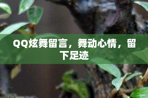 QQ炫舞留言图片