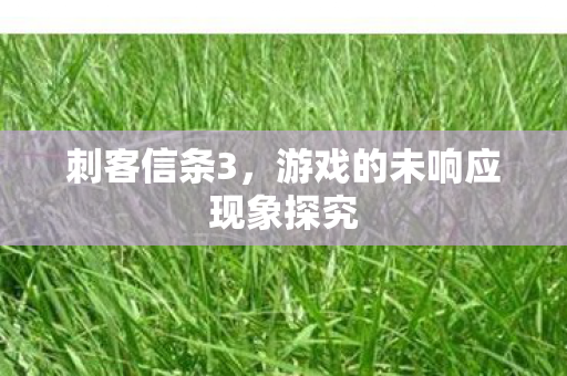 游戏的未响应现象探究图片